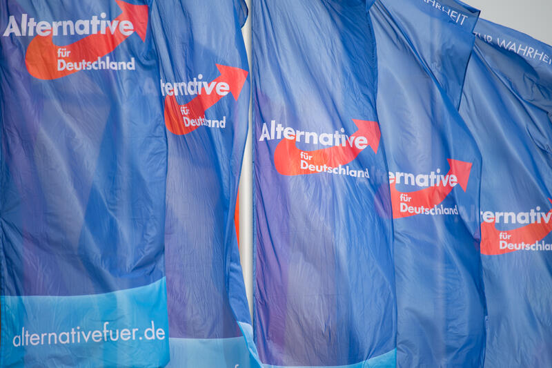 s:24:"Fahnen mit Logos der AfD";