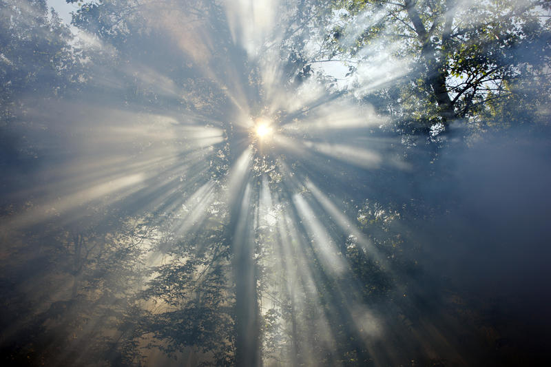 s:57:"Grillen im Wald, Rauchen und offenes Feuer sind verboten.";
