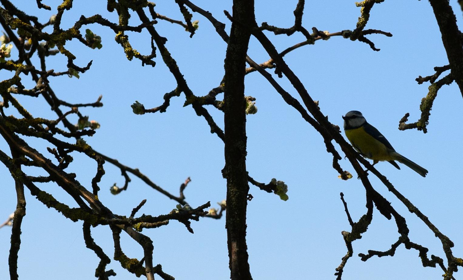 epd Bayern - Frühling in Franken