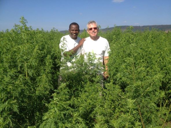 Apotheker Hans Martin Hirt auf einem Feld