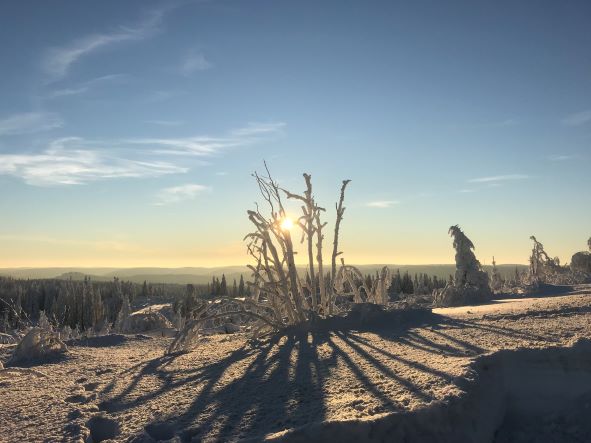 Winterbild