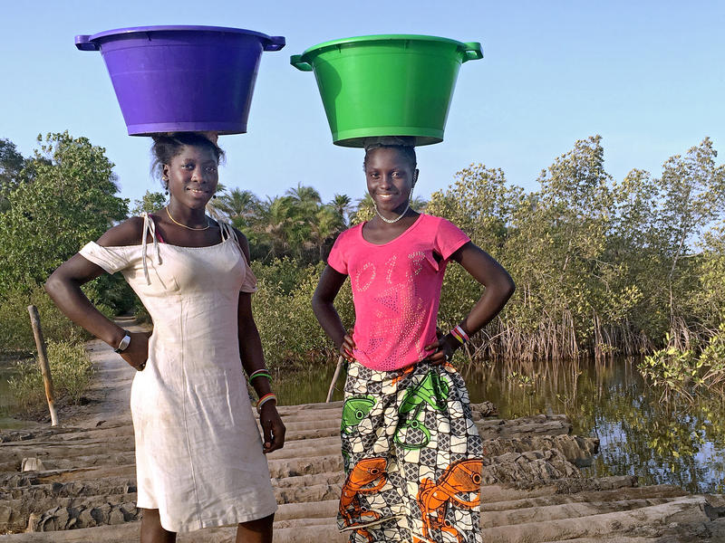 s:33:"Frauen im Senegal (Bild von 2017)";