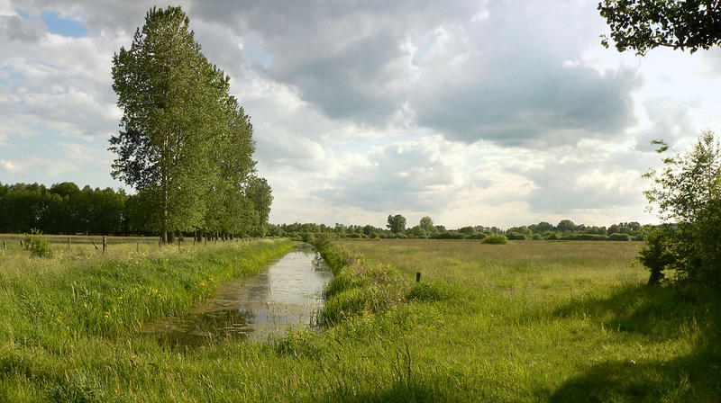 s:110:"Landschaft im Naturpark Drömling an der Grenze zwischen Niedersachsen und Sachsen-Anhalt (Foto vom 20.05.09).";