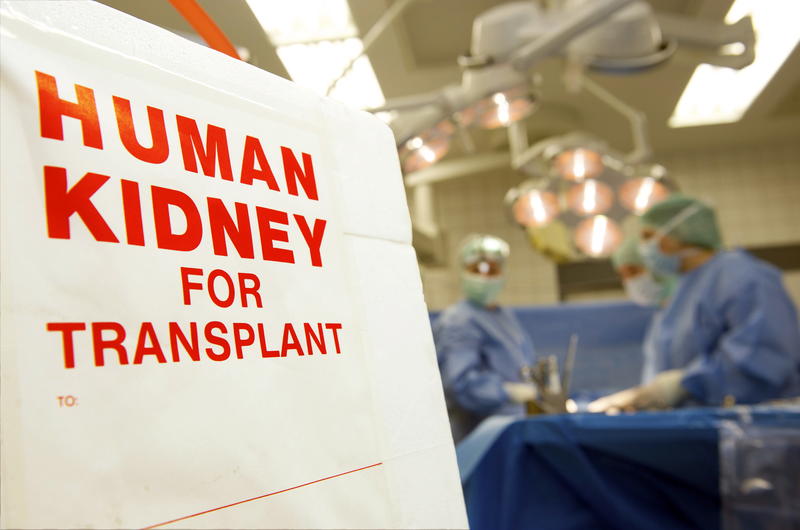 s:55:"Transportbox für eine Niere bei einer Transplantation.";