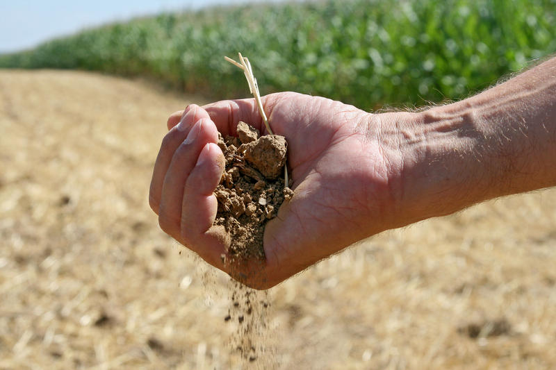 s:73:"Ausgetrocknete Erde auf einem abgeernteten Feld in Hessen am 30.07.2018. ";