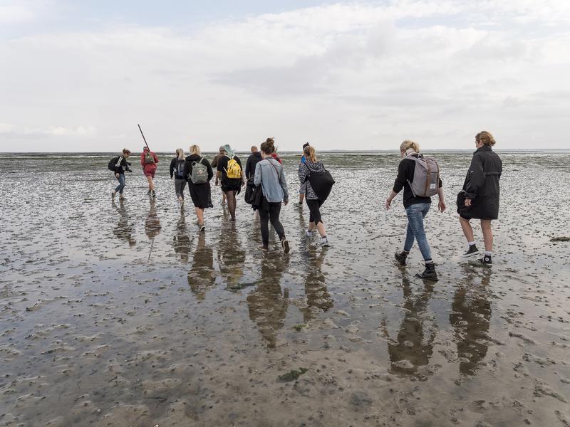 s:125:"Gruppe bei Wattwanderung vor der der Insel Schiermonnikoog in der niederlaendischen Provinz Friesland (Foto vom 17.09.2016). ";