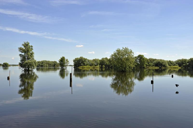 s:223:"Blick auf die Elbe in Bleckede (Niedersachsen, (Foto vom 17.06.2013). Bei einem Besuch in den niedersaechsischen Hochwassergebieten an der Elbe hat der hannoversche Landesbischof Ralf Meister am den vielen Helfern gedankt. ";