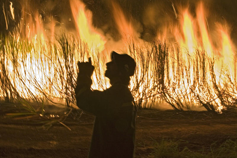 s:112:"Mit den hohen Temperaturen, die am Wochenende erwartet werden, steigt die Waldbrandgefahr. (Foto vom 16.07.2009)";