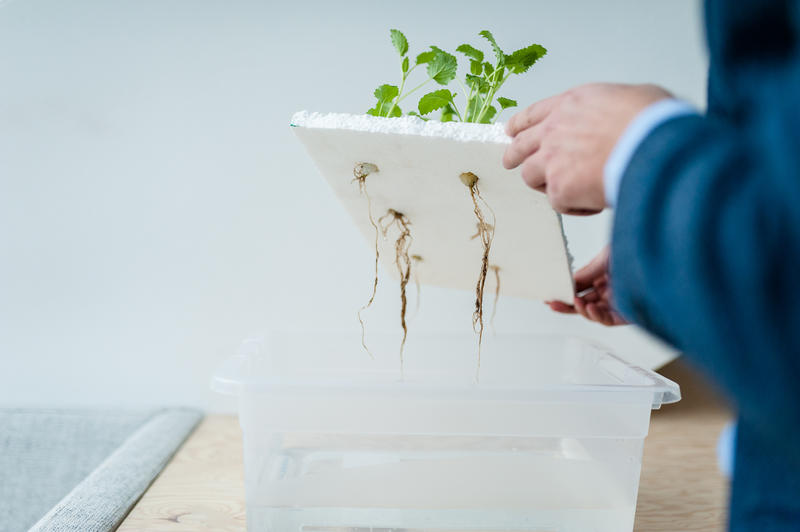 s:29:"Start-Ups fuer die Hungernden";
