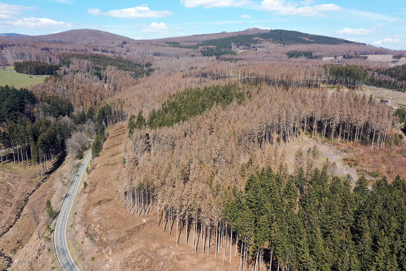 s:37:"Nationalpark Harz unter neuer Leitung";