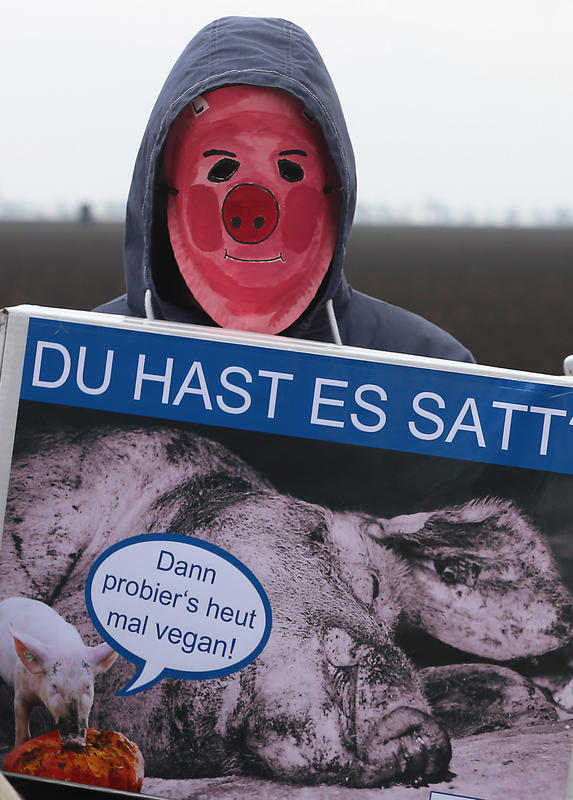s:69:"Niedrige Schweinepreise: Otte Kinast fordert gemeinsames Gegensteuern";