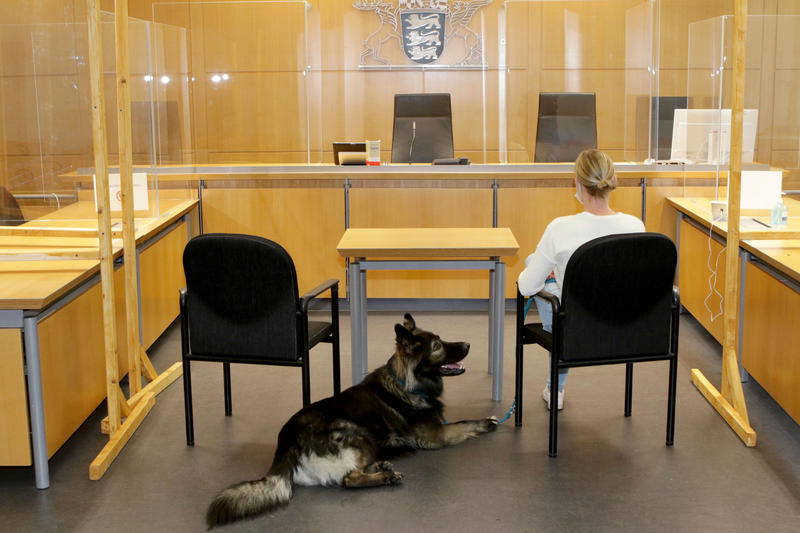 s:45:"Wie Hunde die Arbeit der Justiz unterstützen";