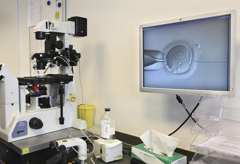 s:36:"Künstliche Befruchtung im IVF-Labor";