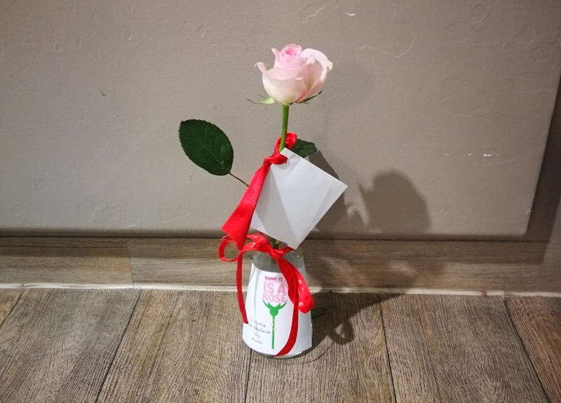 s:116:"Roses Revolution Day: Mütter legen rosa Rosen dort ab, wo sie Gewalt erlebt haben oder respektlos behandelt wurden.";