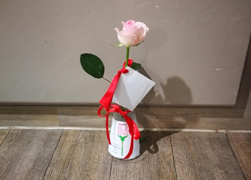 s:83:"Eine Blume, die am Roses Revolution Day, an Fehlleistungen bei der Geburt erinnert.";