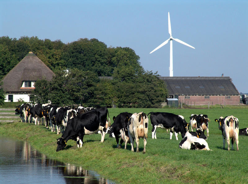s:45:"Landwirte büßen 33 Prozent bei Erlösen ein";