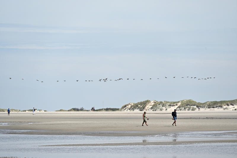 s:19:"Symbolbild: Nordsee";