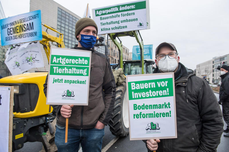 s:69:"50 Jahre Tierschutzgesetz: Tierschützer beklagen schlechte Umsetzung";
