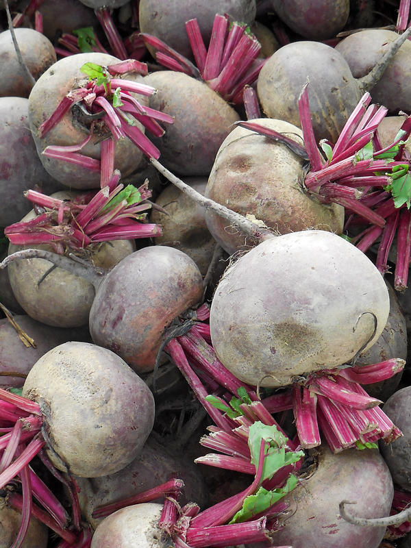 s:46:"Rote Rüben (Rote Bete) auf einem Gemüsemarkt";