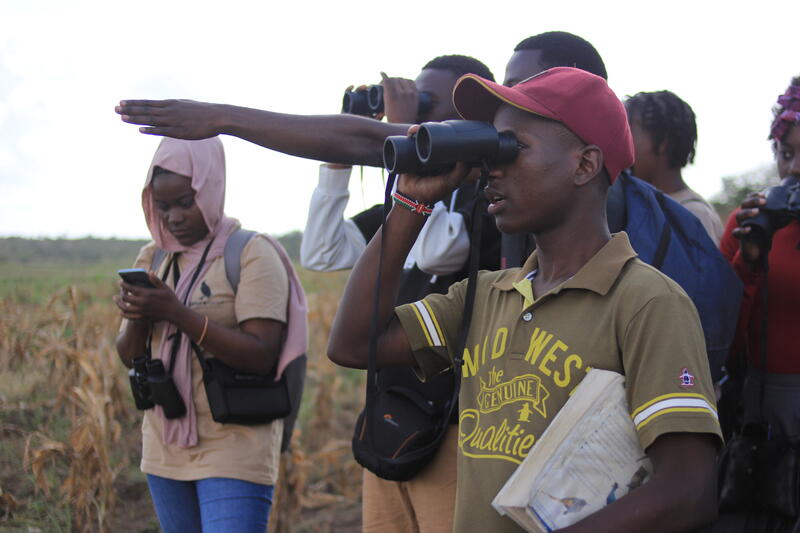 s:25:"Vogelbeobachtung in Kenia";