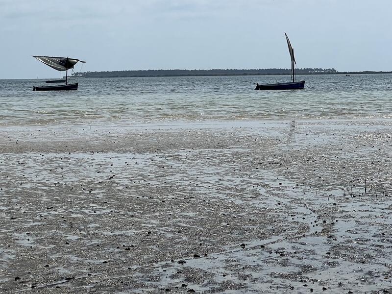 s:37:"Mosambik: Mangroven als Küstenschutz";