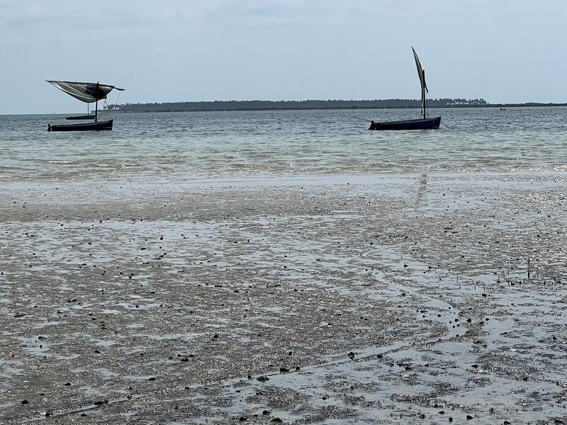 s:37:"Mosambik: Mangroven als Küstenschutz";