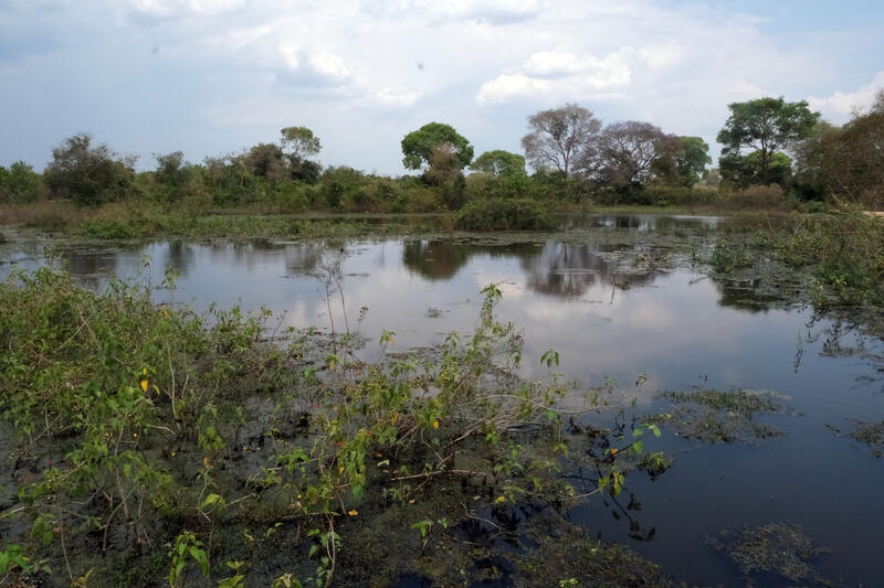 s:67:"Das Feuchtgebiet Pantanal liegt in Brasilien, Bolivien und Paraguay";