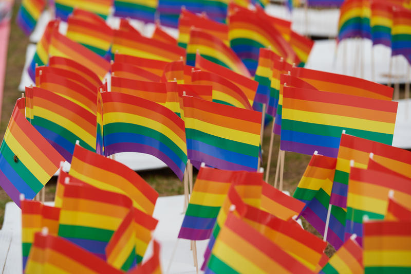s:94:"Die Regenbogenfahne ist ein internationales schwul-lesbisches Symbol, das für Toleranz wirbt.";