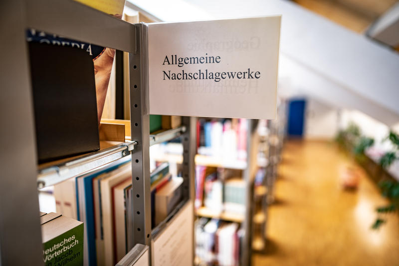 s:32:"Beispielbild Regal in Bibliothek";