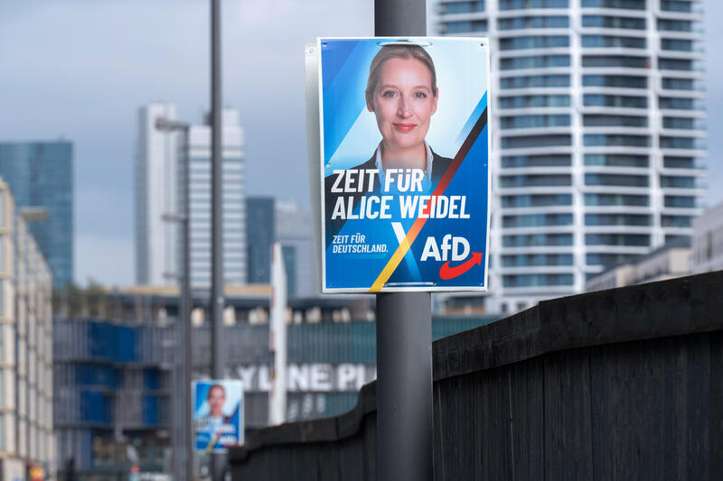 s:15:"AfD-Wahlplakate";