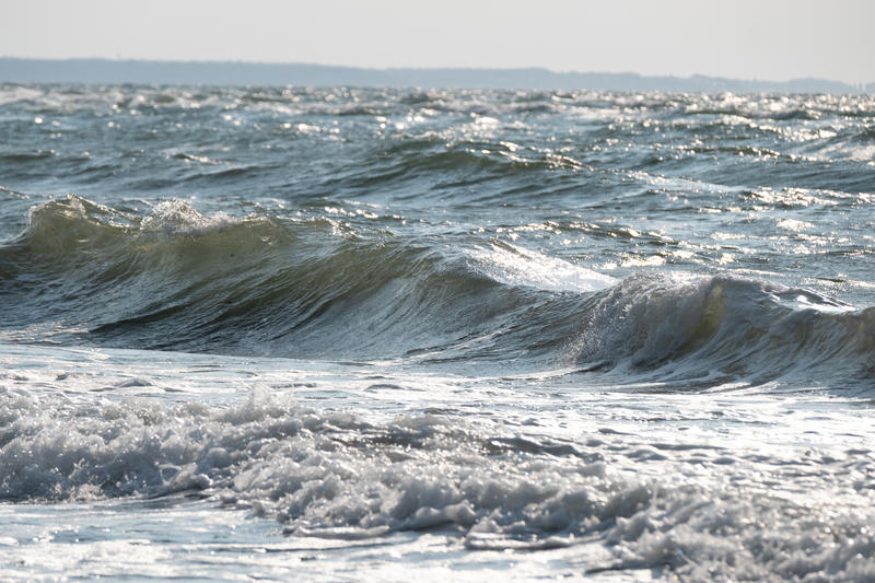 s:68:"Meeresbiologin sieht noch Chancen für Erholung von Nord- und Ostsee";