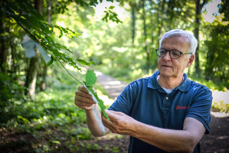 s:56:""Wenn es den Wald nicht gaebe, muesste man ihn erfinden"";