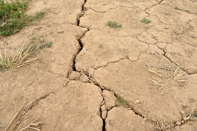 s:28:"Ausgetrockneter Boden/Dürre";