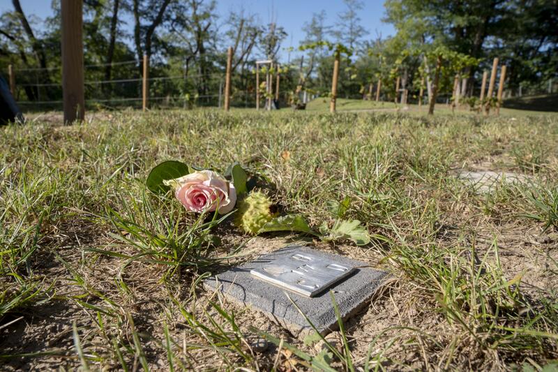 s:49:"Zukünftig kein Friedhofszwang in Rheinland-Pfalz";