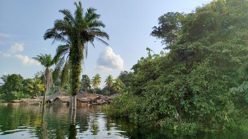 s:18:"Regenwald im Kongo";