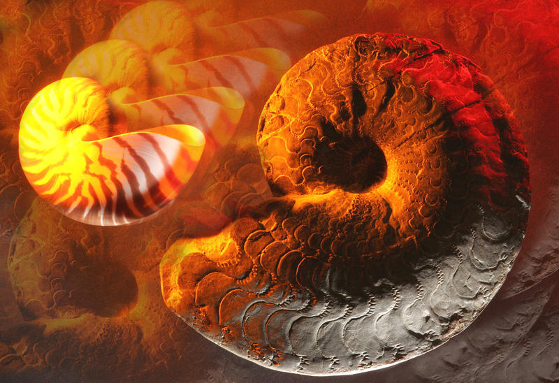 s:9:"Fossilien";