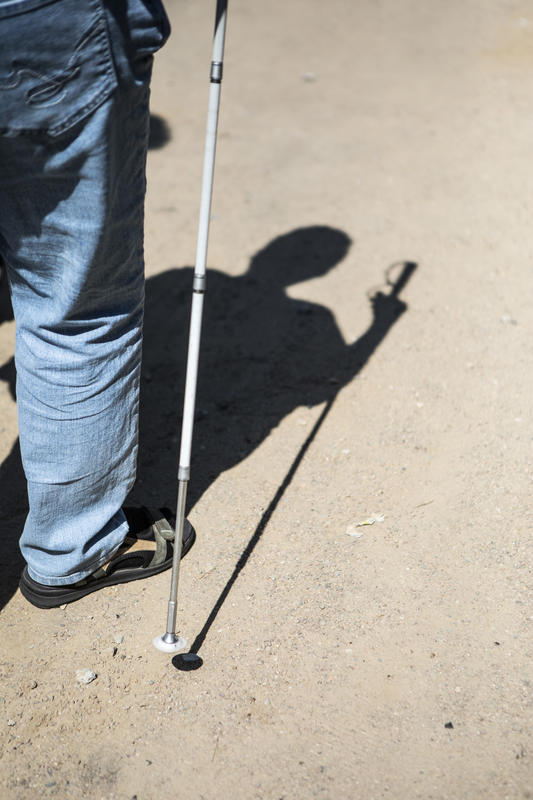 s:59:""Woche der Blinden": Verband startet traditionelle Sammlung";