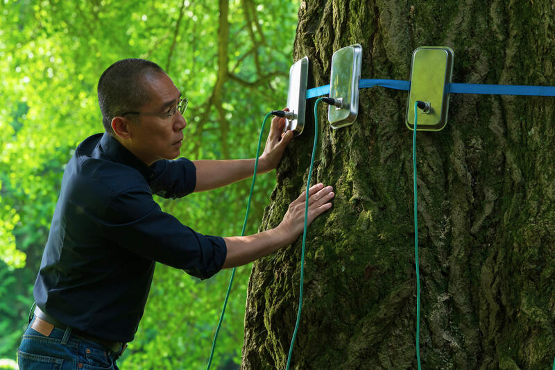 s:50:"Szenenfoto aus Ildiko Enyedis Film "Silent Friend"";