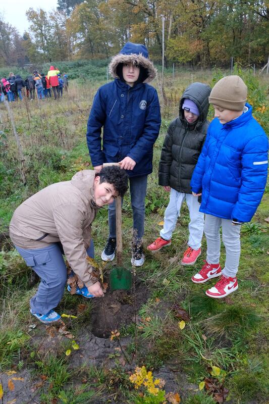 s:67:"Im eigenen Schulwald lernen Kinder und Jugendliche die Natur kennen";