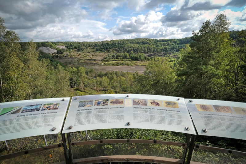 s:12:"Grube Messel";