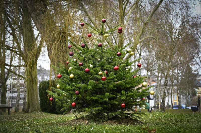 s:35:"Weihnachtsbaum mit Christbaumkugeln";