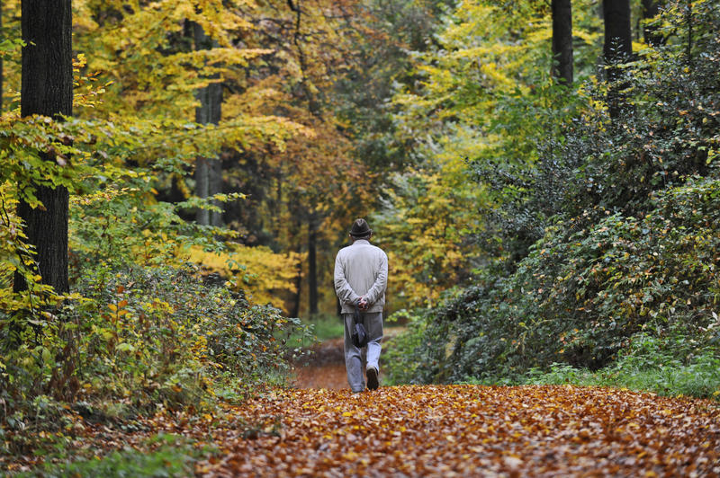 s:51:"Auch ein Spaziergang kann helfen, Stress abzubauen.";