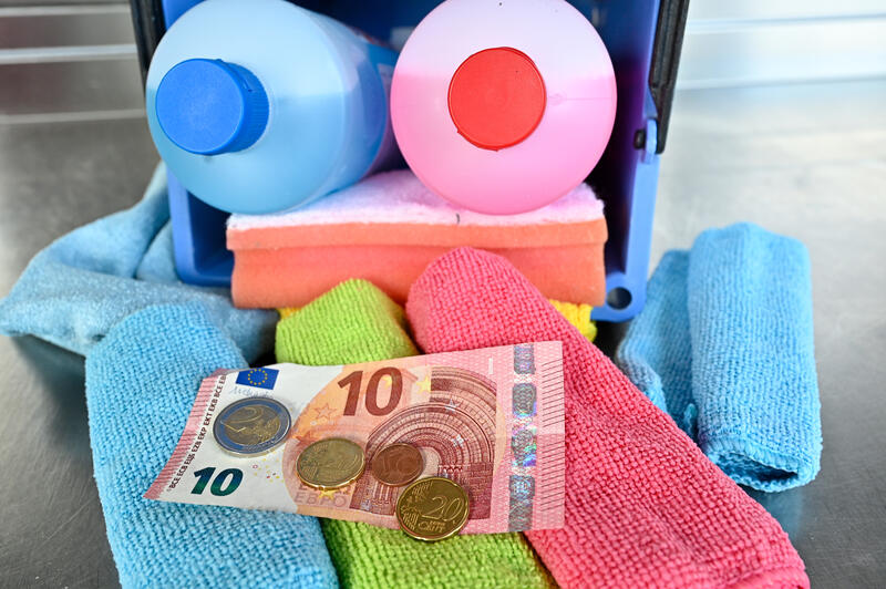 s:91:"Etwa ein Viertel der Befragten gab an, dass die Haushaltshilfe selbst keine Anmeldung will.";