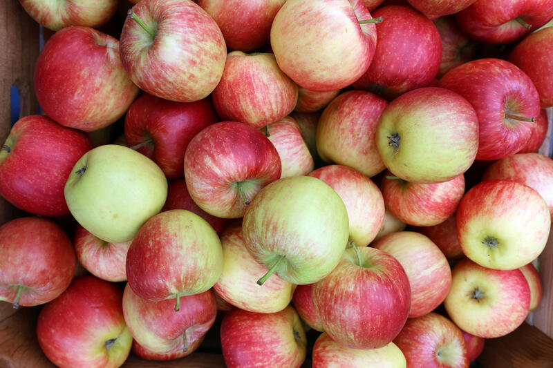 s:54:"Meistgeerntetes Baumobst: Deutschland feiert den Apfel";