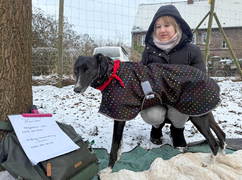 s:89:"Beim "Bark Date" können sich Hunde und mögliche Besitzer beschnuppern und kennenlernen.";