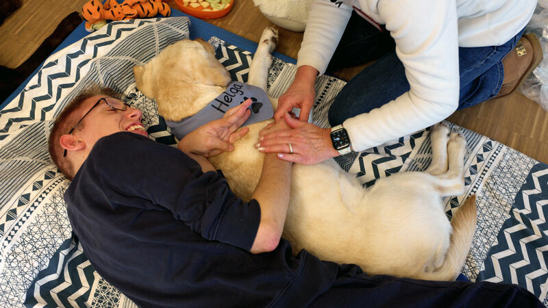 s:35:"Therapiebegleithund im Kinderhospiz";