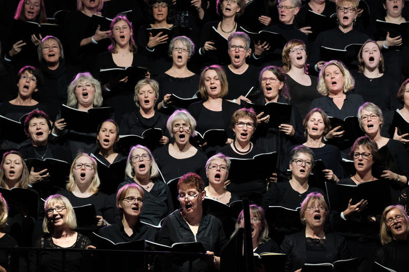 s:128:"Die Stiftung Creative Kirche ist deutschlandweit für ihre Musicalprojekte mit einem großen Chor aus tausenden Stimmen bekannt.";