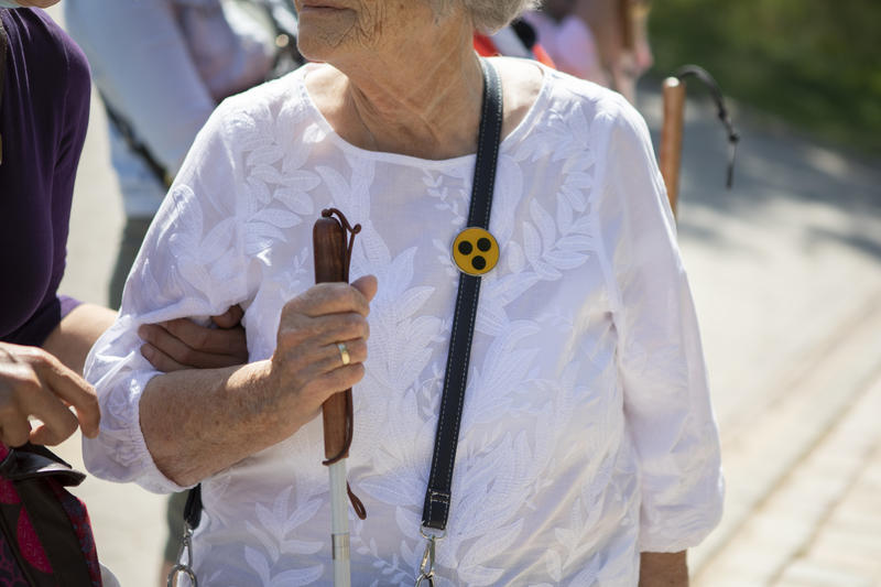s:59:"Domfestspiele bieten Audiobeschreibungen für Sehbehinderte";