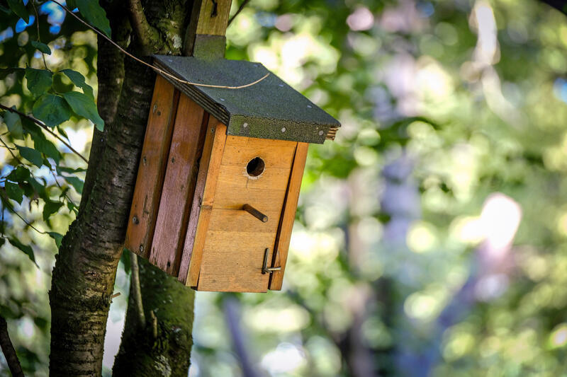 s:56:"Neubau und Frühjahrsputz: Nistkästen jetzt vorbereiten";