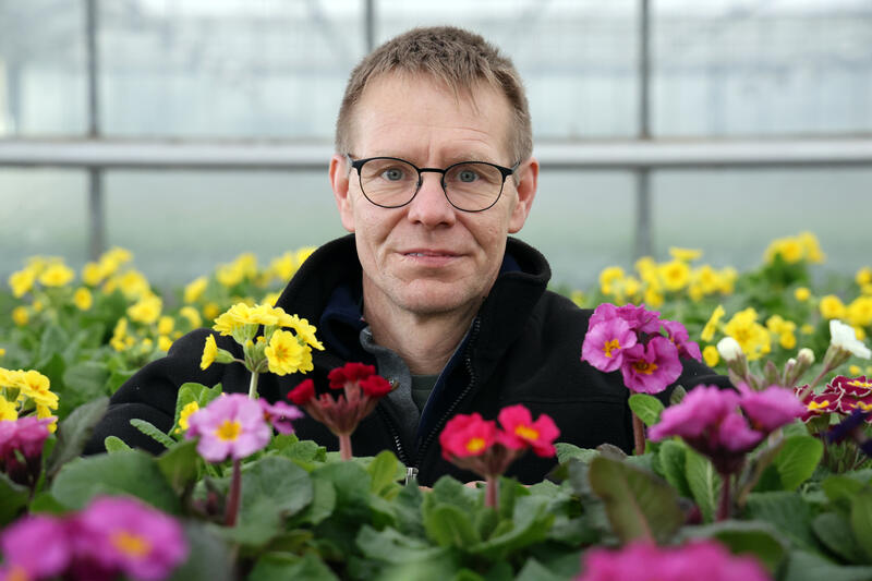 s:62:"Sehnsucht nach Fruehling: Im Primel-Paradies bei Harald Herzog";